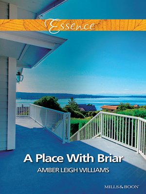 cover image of A Place With Briar